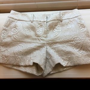 New York & Company Shorts